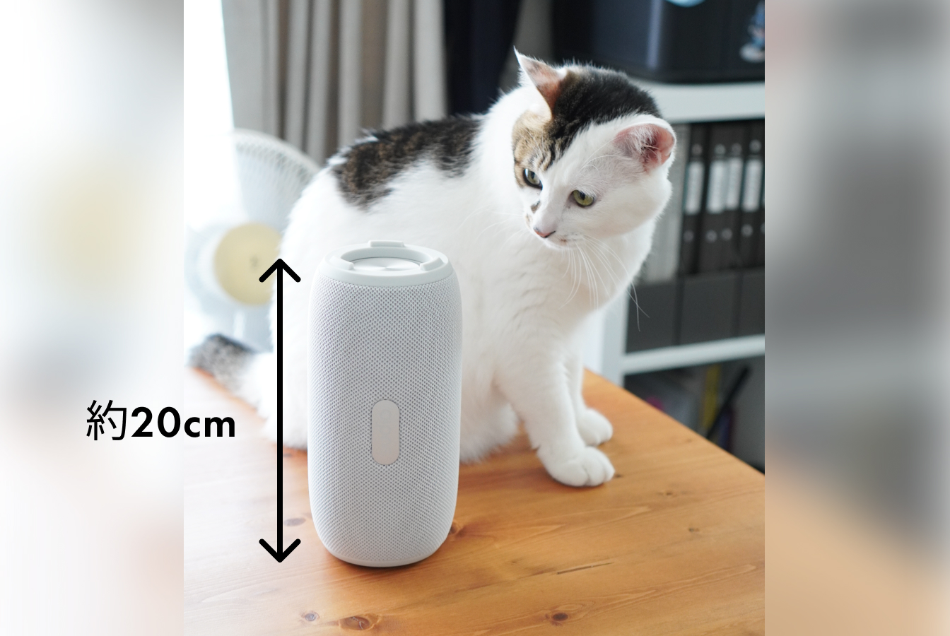 猫との比較写真、Sudio F5 Proの全長は約20cm